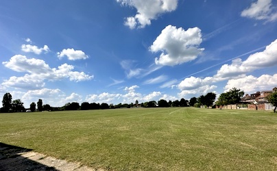 Field blue sky copy
