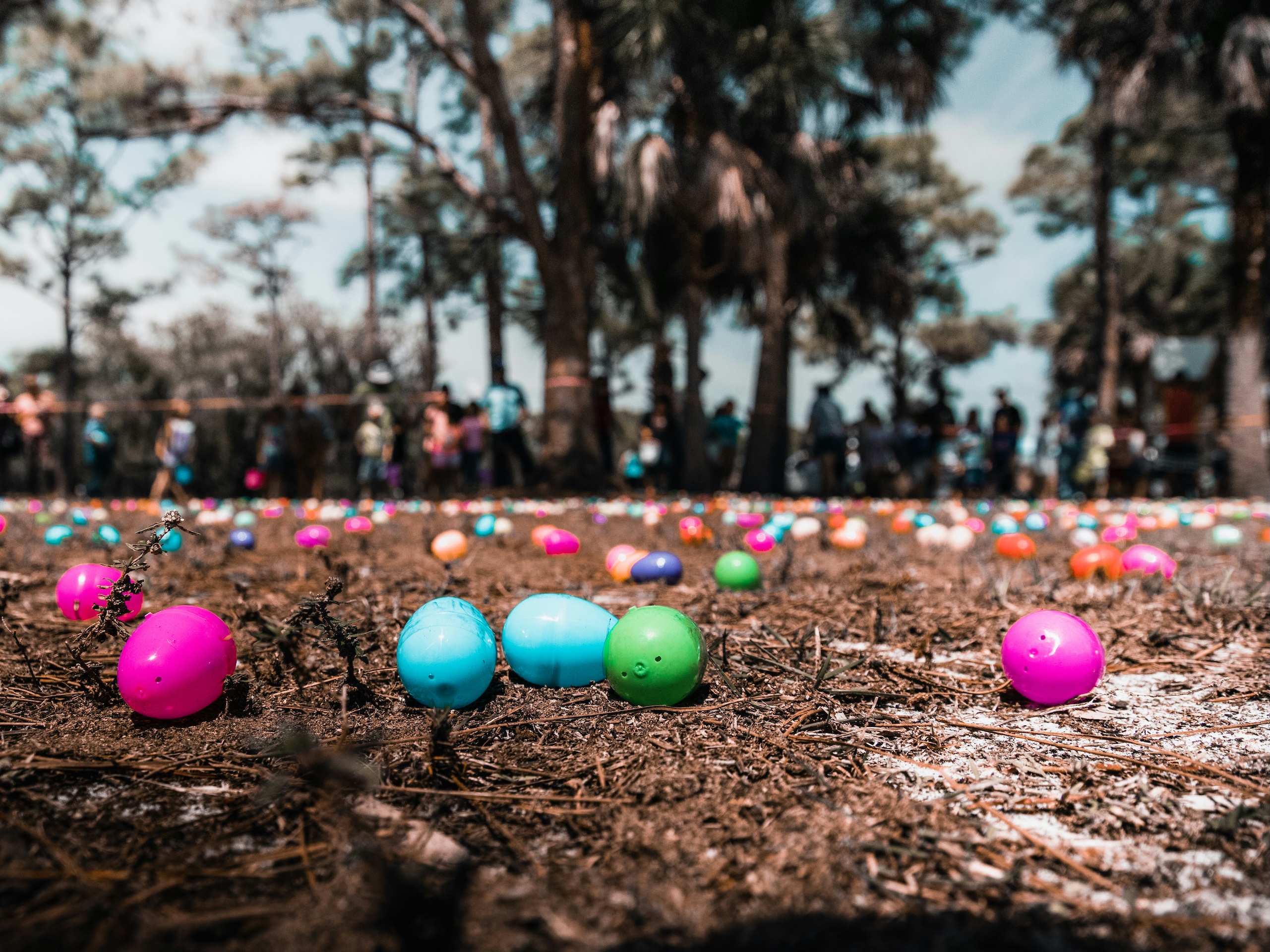 egg hunt jason-jarrach-AMSCC4auXSA-unsplash copy